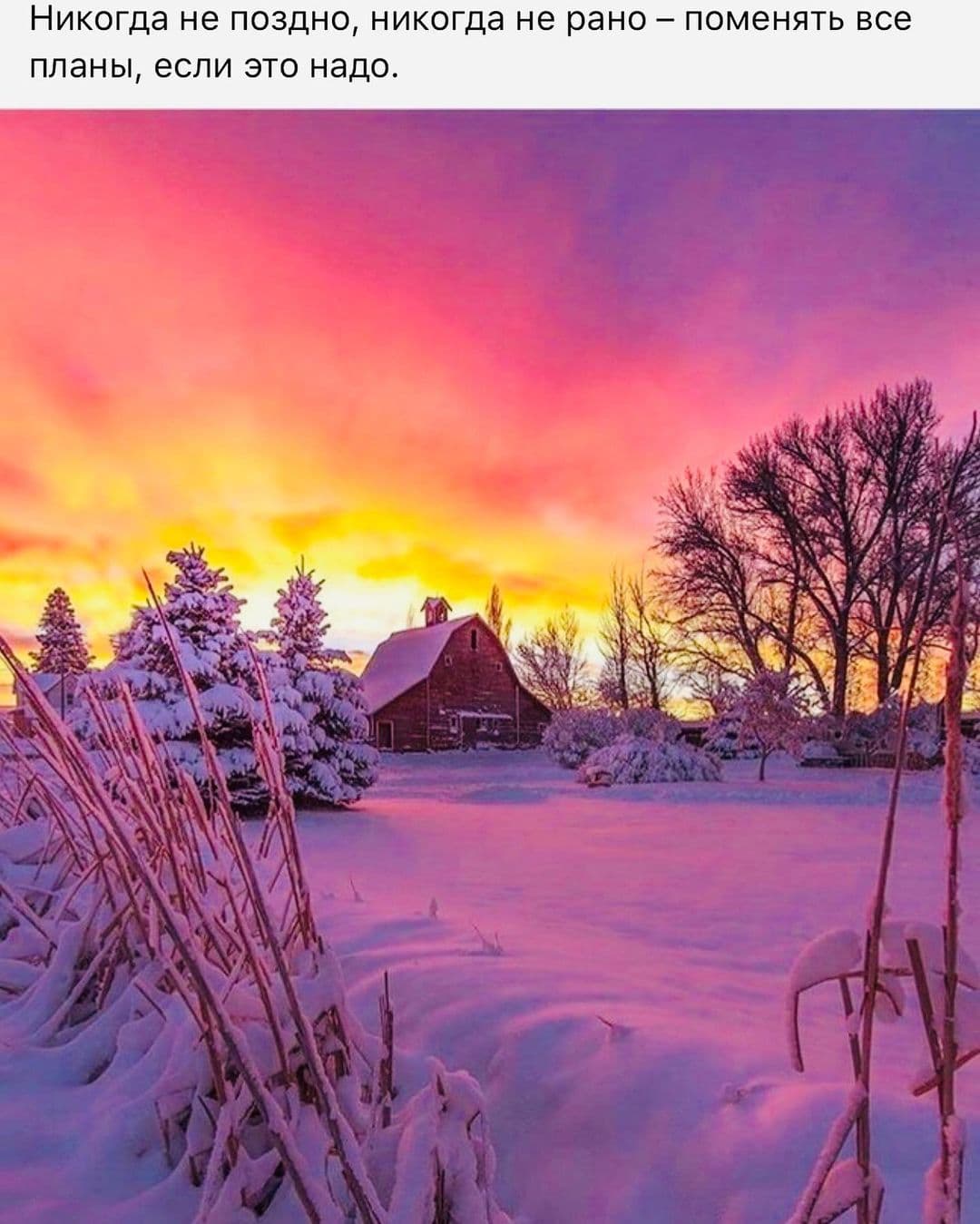 Биоэнергетик